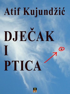 cover image of DJECAK I PTICA